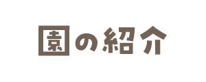 ̏Љ
