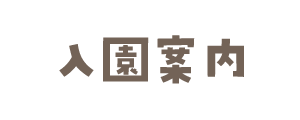 т̂悤